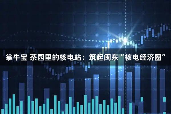 掌牛宝 茶园里的核电站：筑起闽东“核电经济圈”