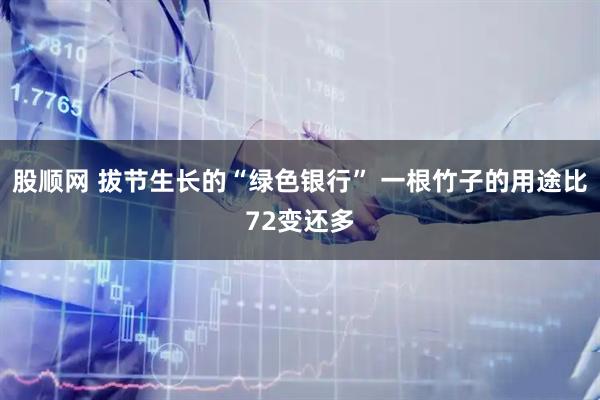 股顺网 拔节生长的“绿色银行” 一根竹子的用途比72变还多