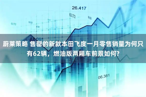 蔚莱策略 售罄的新款本田飞度一月零售销量为何只有62辆，燃油版两厢车前景如何?
