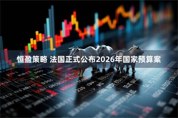 恒盈策略 法国正式公布2026年国家预算案