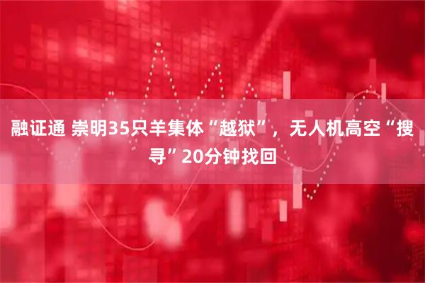 融证通 崇明35只羊集体“越狱”，无人机高空“搜寻”20分钟找回