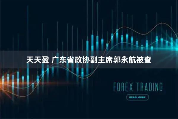 天天盈 广东省政协副主席郭永航被查